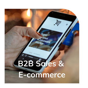 B2B eCommerce