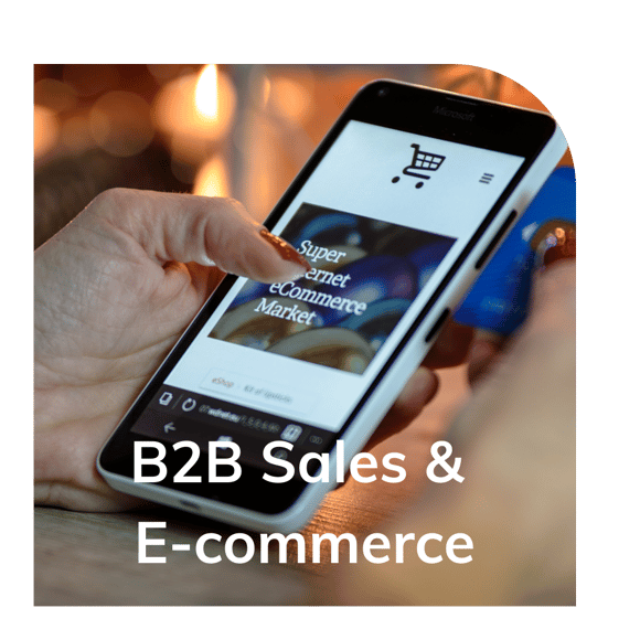 B2B eCommerce sales