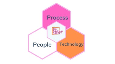 People Process Technology Sales Consulting