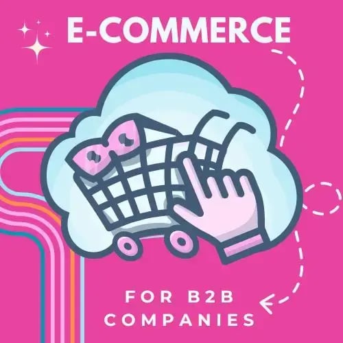 eCommerce CRM for b2b